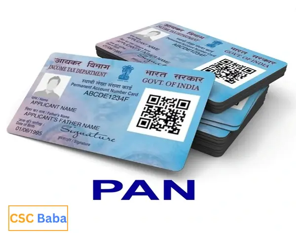 CSC Baba : Our daily work and services