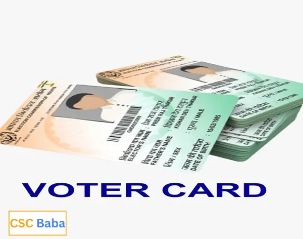 CSC Baba : Our daily work and services